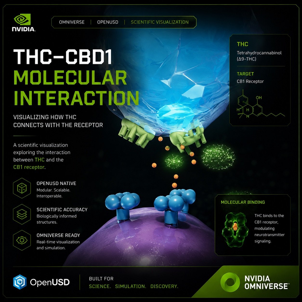 THC and CB1 thumbnail