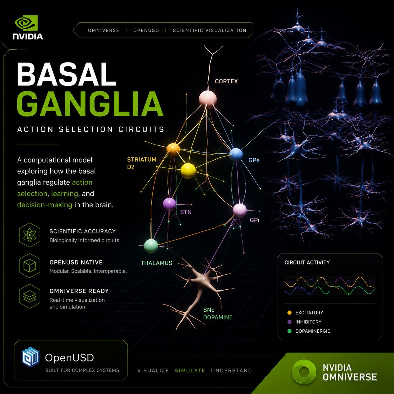 Basal Ganglia thumbnail