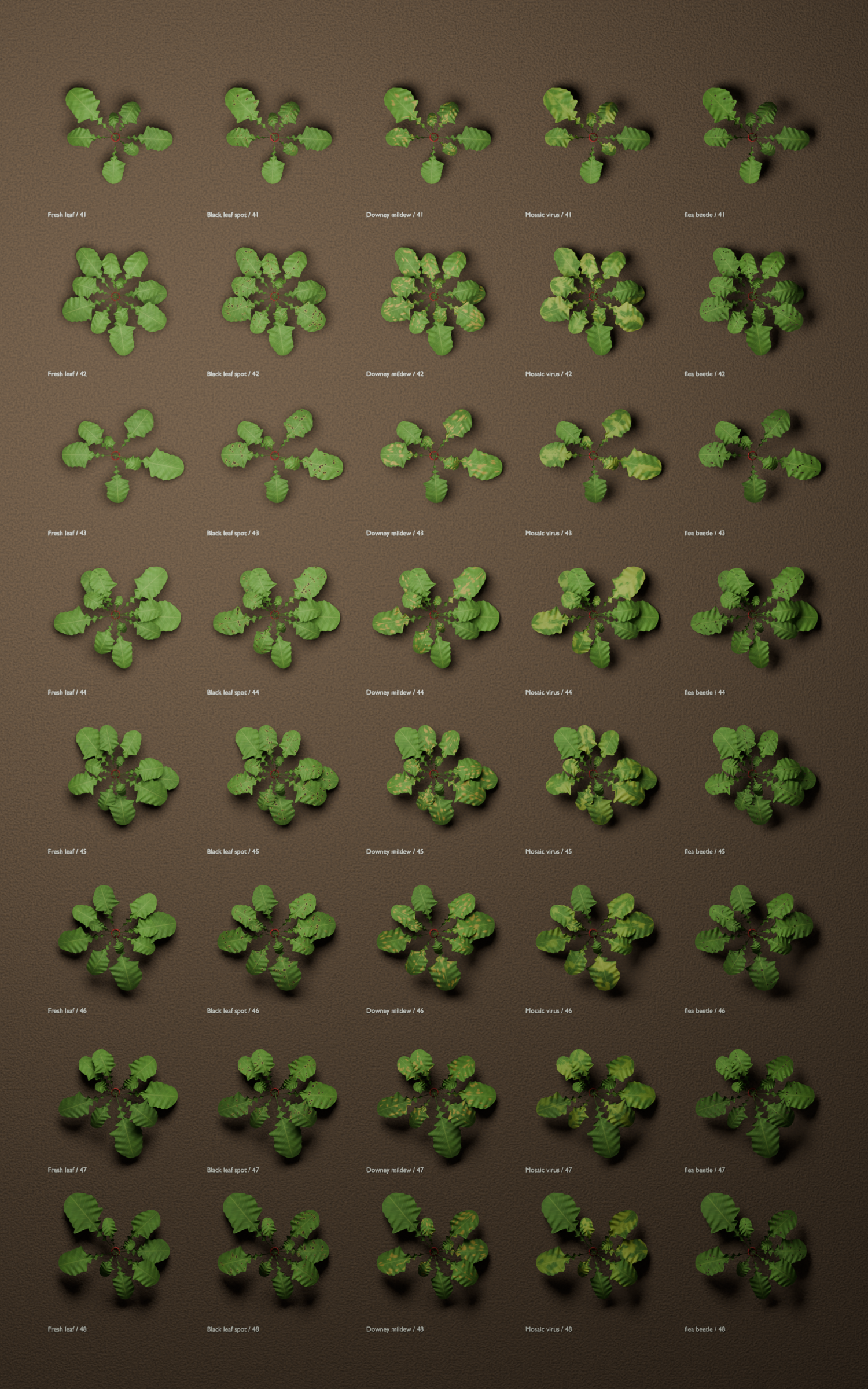 Procedural plant library for synthetic data