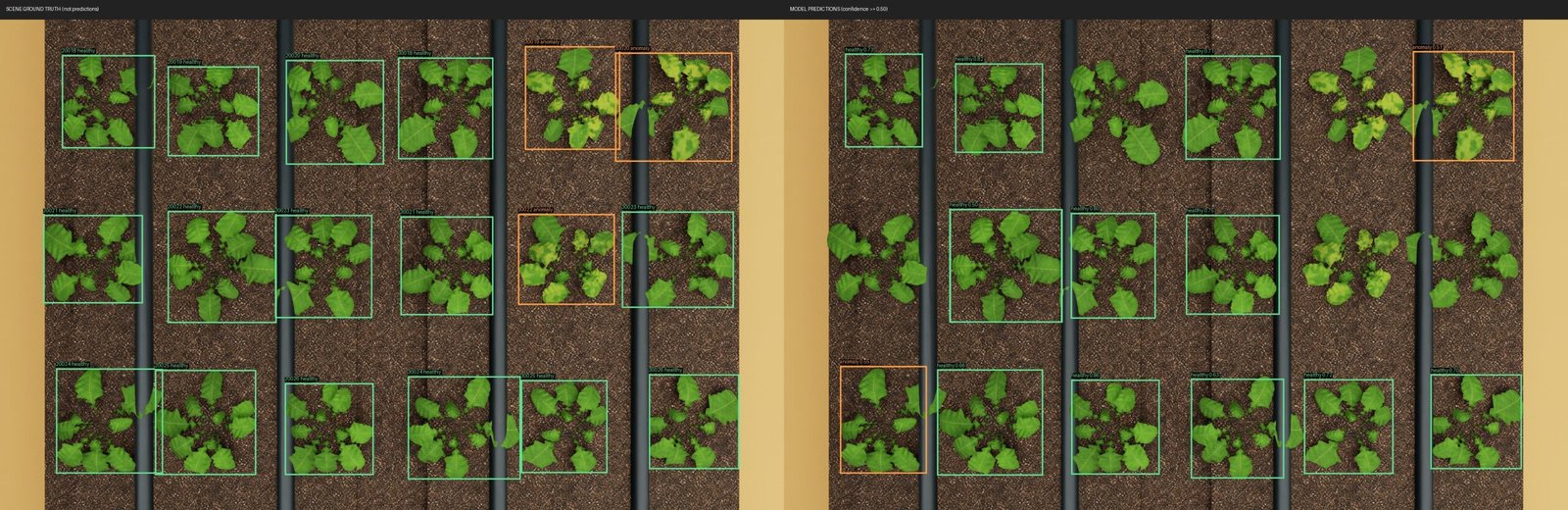 Synthetic plant yellowing comparison experiment